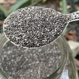 SHIA SEEDS